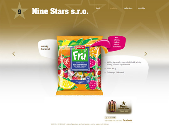 Internetové stránky Nine Stars